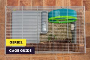 gerbil cage guide