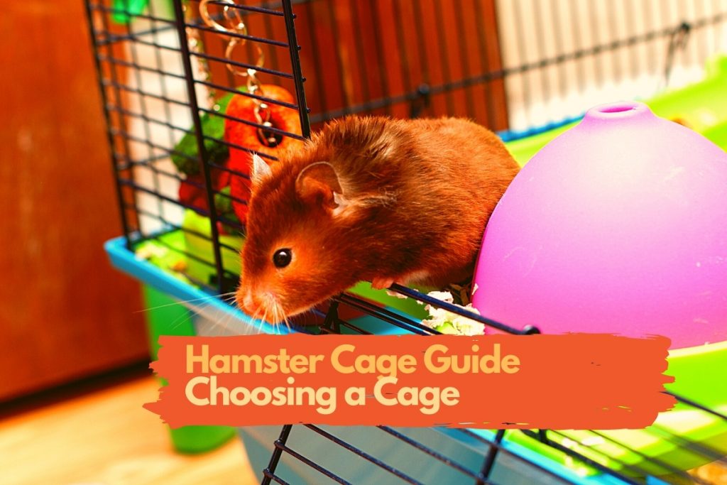 hamster cage guide
